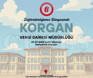 lelerde vergi dairesi mdrl says artyor